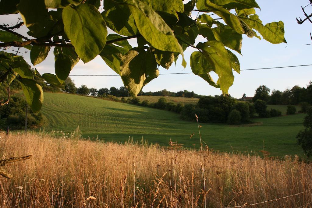 Domaine De Romefort Saint-Léonard-de-Noblat Pokój zdjęcie