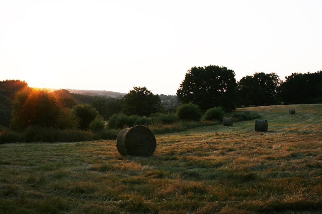 Domaine De Romefort Saint-Léonard-de-Noblat Pokój zdjęcie